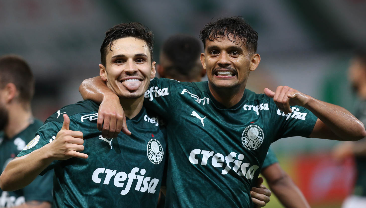 palmeiras